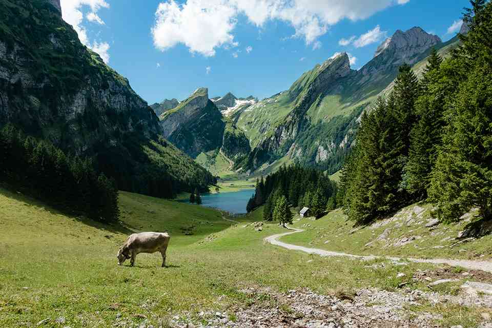 Thai ETA for Swiss Citizens featured image
